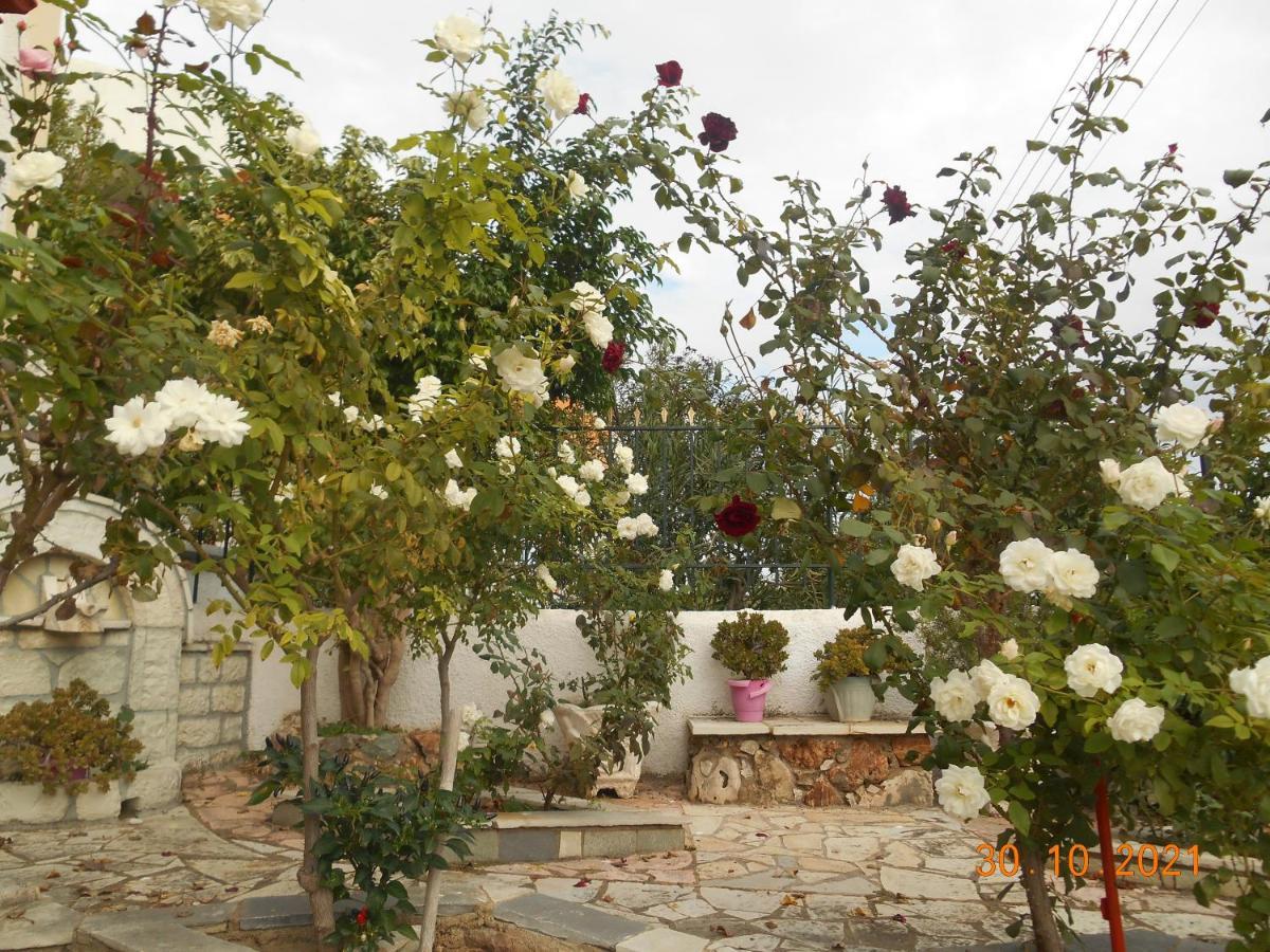 Melios Rooms Petalidi Exterior photo